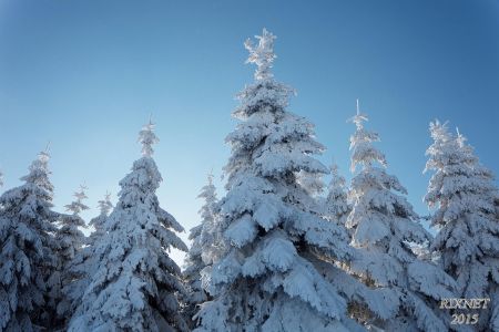 NEIGE 045