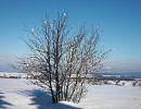 NEIGE 046