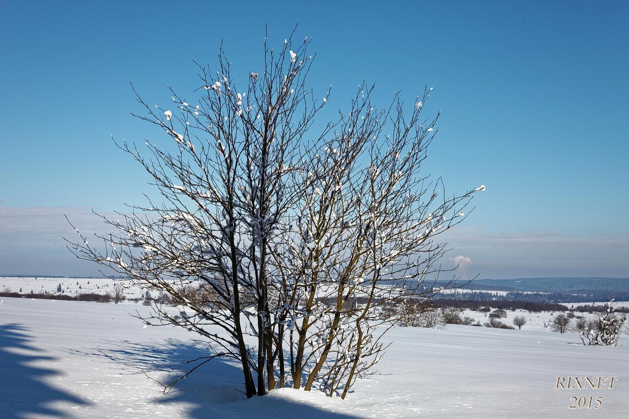 NEIGE 046
