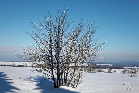 NEIGE 046