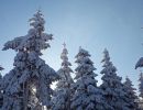 NEIGE 047