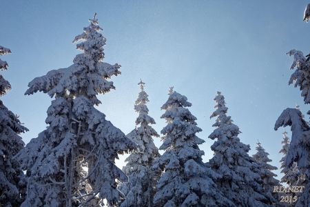 NEIGE 047