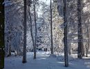 NEIGE 048