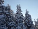 NEIGE 049