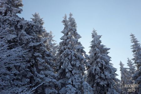 NEIGE 049