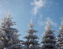 NEIGE 015